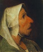 BRUEGEL, Pieter the Elder Portrait of an Old Woman  gfhgf oil painting reproduction
